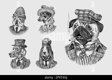 Pug Dog dog smokes cigar in suit. English Bulldog policeman. Herding and Bloodhound and German Shorthaired Pointer and Dachshund. Fashion Animal Stock Vector