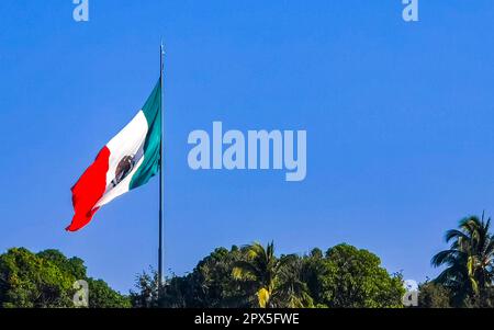 green white red blue flag with tree