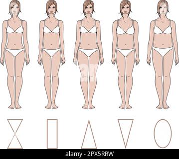 https://l450v.alamy.com/450v/2px5rrw/the-figure-of-a-woman-various-types-2px5rrw.jpg