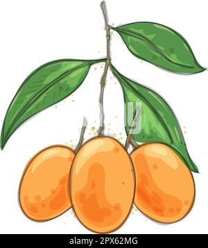 Marian plums watercolor design Stock Vector