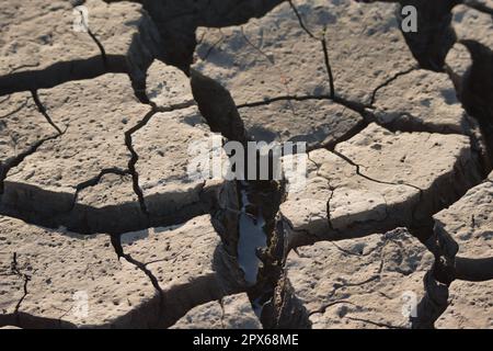 Water in the Cracks of a Dry Lake Bed Stock Photo
