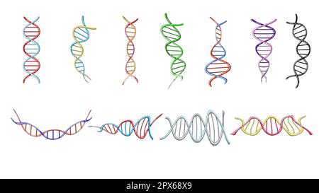 A large set of multi-colored beautiful medical scientific twisted structures of spirals of abstract models of DNA genes on a white background. Vector Stock Vector