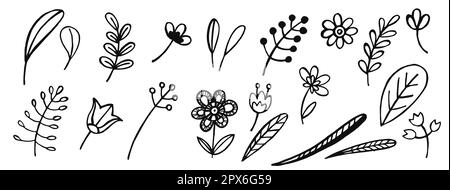 line art cartoon flowers and leaves, hand drawn illustration, black and white sketch, decorative herbs elements Stock Photo