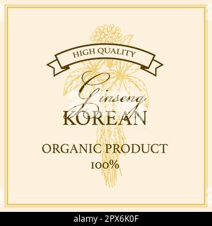 Ginseng square design. Hand drawn botanical vector illustration in sketch style. Can be used for packaging, label, badge. Herbal medicine background Stock Vector