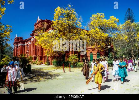 Venkatappa Art Gallery, Government Museum in Bengaluru Bangalore, Karnataka, South India, India, Asia. Flowering tree golden bells (Tabebuia argentea) Stock Photo