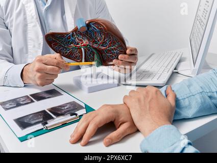 Human liver model on doctor's table, close-up. Treatment of hepatitis, cirrhosis and liver cancer Stock Photo
