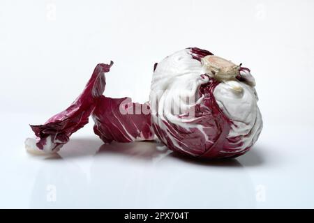 Cicorino (Cichorium intybus var. foliosum) rosso Stock Photo