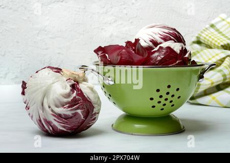 Cicorino rosso, lettuce (Cichorium intybus var. foliosum) plant in draining sieve Stock Photo