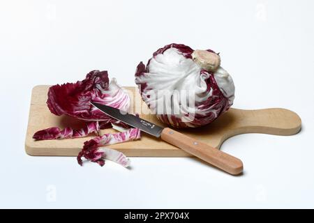 Cicorino (Cichorium intybus var. foliosum) rosso on wooden board, cut with knife Stock Photo