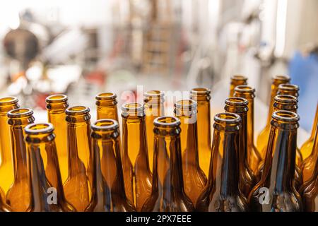 Rows of glass bottles prepared to beer filling and bottling on microbrewery. Stock Photo