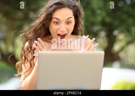 Front view portrait of an amazed woman checking laptop in a park Stock Photo