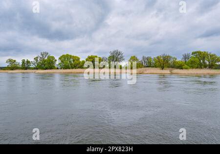 25 April 2023, Brandenburg, Küstrin-Kietz: The German-Polish border river Oder. Photo: Patrick Pleul/dpa Stock Photo