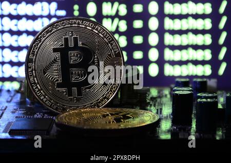 Two bitcoins lies on a videocard surface with background of screen display of cryptocurrency mining by using the GPUs Stock Photo
