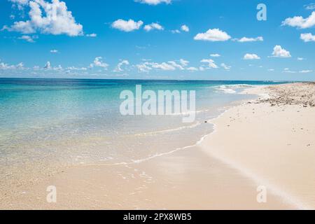 Tropical white sand beach, Seychelles. Stock Photo