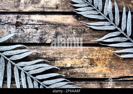 Wooden background from horizontal narrow boards. Two exotic tropical branches with thin palm leaves are located at the edges of the image. Background Stock Photo