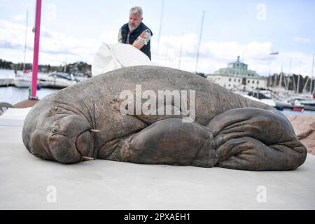 Oslo 20230429.The artist Astri Tonoian has created a sculpture in memory of Freya the walrus. On Saturday, there will be an unveiling of the statue that stands on Kongen Marina by Frognerkilen. Freya was euthanized by the Directorate of Fisheries in August 2022. The reason was that the public did not follow the recommendations from the authorities to keep their distance from the 600-kilogram animal. Photo: Annika Byrde / NTB Stock Photo
