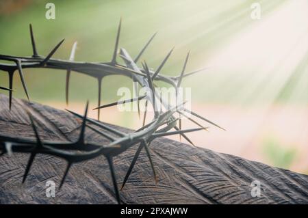 Crown of thorns with customizable space for the and Christian quotes. Copy space and Christianity concept. Stock Photo