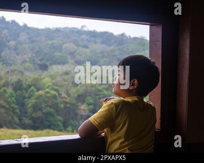 boy looking out window looking at the green forest Stock Photo
