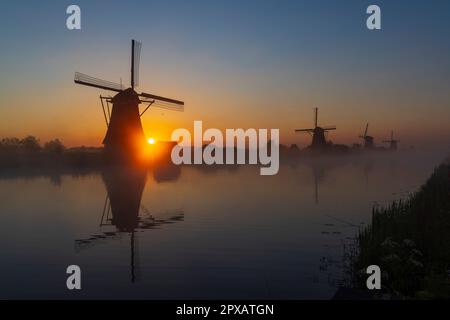 Traditional Dutch windmills with a colourful sky just before sunrise in Kinderdijk, The Netherlands Stock Photo