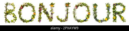 Blooming Flower Letters Building French Word Bonjour Means Hello Stock ...