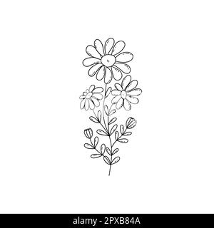 Chamomile flowers. Sprig with three blooming daisies and two buds. Black and white vector doodle style illustration hand drawn. Single floral element Stock Vector