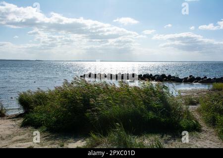 Breakwater made of large stones in the water  and green grass on the Baltic Sea coast,  with green grass on the beach on the island of Poel, Germany, Stock Photo