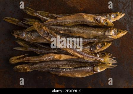 Dried fish. Salty dry river fish on a rusty metal plate background. Stock Photo