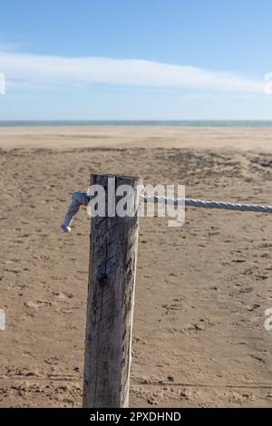 thick rope tied around a wooden stake in the forest Stock Photo