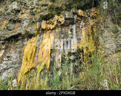 Drainage of organic wastewater from an overflowing sewerage system from a cliff to the Vysoky Bereg beach in Anapa, Krasnodar Territory, August 2021. Stock Photo