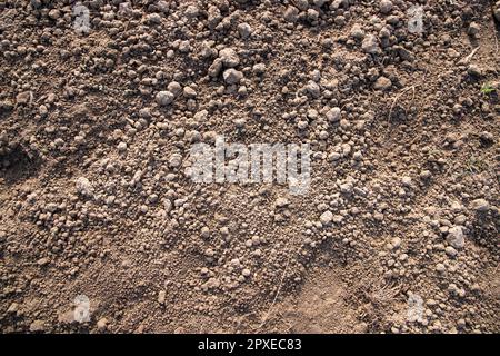 Brown crushed soil peat field texture may be used as a  background wallpaper Stock Photo