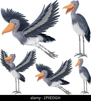 Set of Shoebill Storks in Various Poses illustration Stock Vector