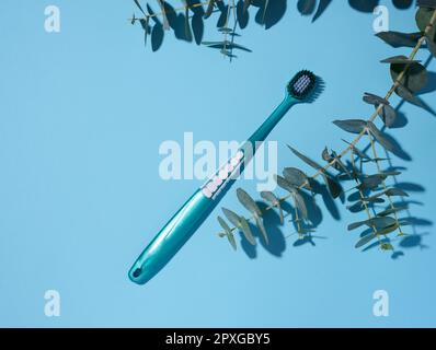 Plastic toothbrush on a blue background, top view Stock Photo