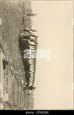 'History of the One hundred and sixty-first regiment, Indiana volunteer infantry' (1899) Stock Photo