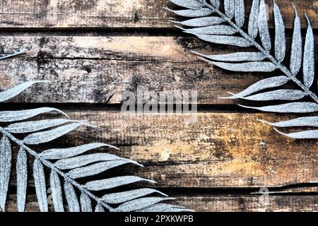 Wooden background from horizontal narrow boards. Two exotic tropical branches with thin palm leaves are located at the edges of the image. Background Stock Photo
