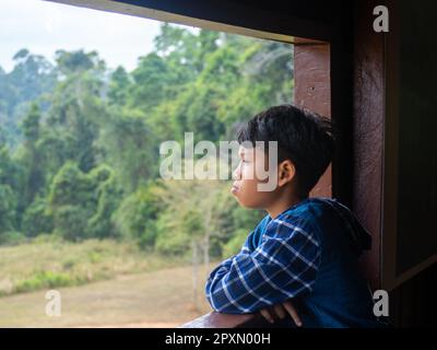 boy looking out window looking at the green forest Stock Photo