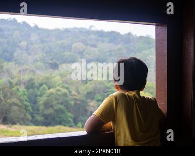 boy looking out window looking at the green forest Stock Photo