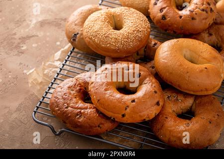 Variety of freshly baked bagels on a cooling rack ready for breakfast Stock Photo