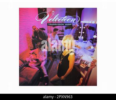 TRANSVISION VAMP Velveteen - Vintage Vinyl Record Cover Stock