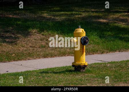 Toronto, Canada, August 2007 - Yellow fire hydrant on grass by a sidewalk in a residential neighbourhood of Toronto Stock Photo