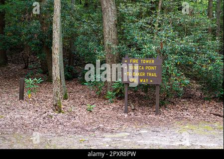 Cooksburg PA - September 16, 2022: Signage for Fire Tower, Seneca Point and Baker Trail Stock Photo