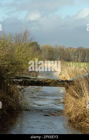 Leighton Beck flowing through  Arnside Moss Arnside Westmorland and Furness England Stock Photo