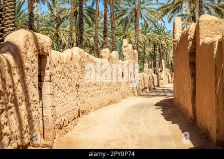 Al Ula ruined old town street with palms along the road, Saudi Arabia Stock Photo