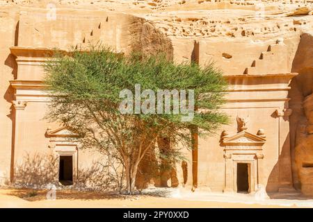 Stone carved nabataean tombs with tree in the middle, Jabal al banat, Hegra, Al Ula, Saudi Arabia Stock Photo