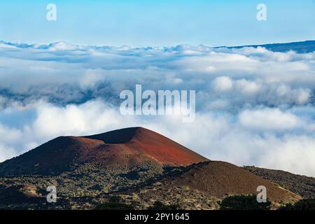 Pu'u Kole cinder cone on the slopes of MaunaKea volcano with Mauna Loa volcano in the background, Hawaii Island, the Big Island, Hawaii, U.S.A. Stock Photo