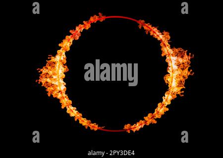 orange flame circle frame on black background Stock Photo