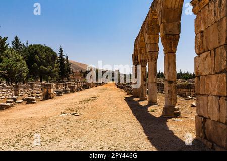 Anjar ruins, ancient Umayyad palace-city, by Caliph Walid I, 8th century, Bekaa valley, Anjar, Beqaa(bekaa) governorate, Lebanon, middle east, Asia Stock Photo