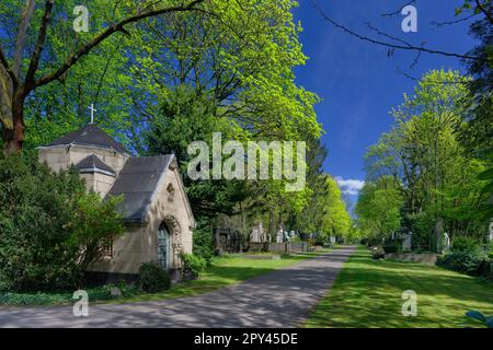 the 'Millionaire's Alley' at the Melaten Cemetery in Cologne in springtime Stock Photo