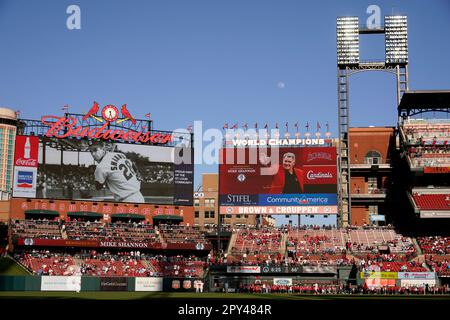 Remembering Mike Shannon  St. Louis Cardinals 