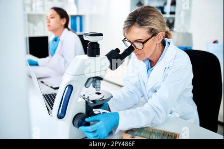 Running diagnostics on clinical data. a mature scientist using a microscope in a lab with her colleague in the background. Stock Photo