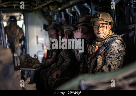 Training Command Quantico Marines at The Basic School, Marine Corps Base Quantico, Virginia ...